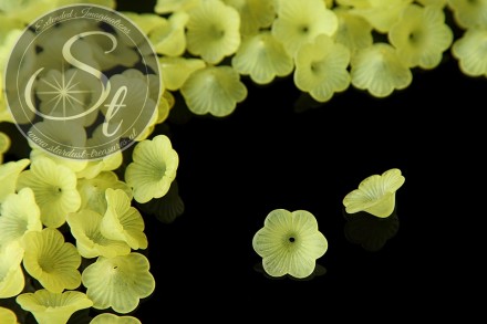 10 Stk. gelbe Acryl-Blüten frosted 21mm-31