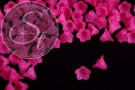 20 Stk. pinke Acryl-Blüten frosted 14mm-20