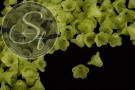 20 Stk. grüne Acryl-Blüten frosted 15mm-20