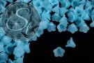 20 Stk. hellblaue Acryl-Blüten frosted 15mm-20