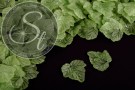 20 Stk. grüne Acryl-Blätter frosted 24mm-20