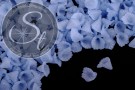 20 Stk. blaue Acryl-Blüten frosted 12mm-20