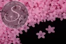 20 Stk. rosa Acryl-Blüten frosted 17mm-20