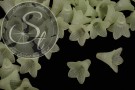 5 Stk. hellgrüne Acryl-Blüten frosted 23mm-20