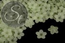 20 Stk. grüne Acryl-Blüten frosted 20mm-20