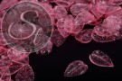20 Stk. rosa Acryl-Blätter transparent 27mm-20