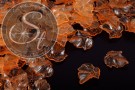 20 Stk. orange Acryl-Blätter transparent 25mm-20