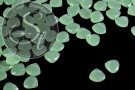 10 Stk. hellgrüne flache tropfenförmige facettierte Glasperlen 12mm-20