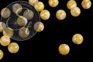 10 Stk. runde gelbe Kunstharz Muschel Perlen 10mm-20
