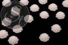 2 Stk. weiße Blumen Cabochons frosted 20mm-20