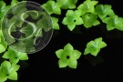 5 Stk. grüne Acryl-Blüten frosted 34mm-20