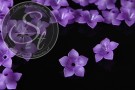 5 Stk. lila Acryl-Blüten frosted 34mm-20