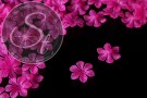 10 Stk. pinke Acryl-Blüten frosted 26mm-20