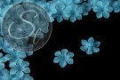 10 Stk. hellblau Acryl-Blüten frosted 26mm-20