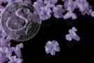 5 Stk. lila Acryl-Blüten frosted 20mm-20