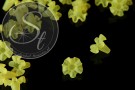 5 Stk. gelbe Acryl-Blüten frosted 20mm-20