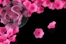 10 Stk. pinke Acryl-Blüten frosted 21mm-20