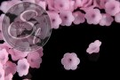 10 Stk. rosa Acryl-Blüten frosted 21mm-20