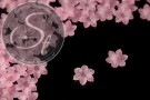 20 Stk. rosa Acryl-Blüten frosted 21mm-20