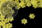 20 Stk. gelbe Acryl-Blüten frosted 21mm-20