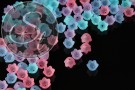20 Stk. Acryl-Blüten Mix "Kirschblüte" frosted 10mm-20