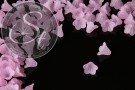 20 Stk. rosalila Acryl-Blüten frosted 15mm-20