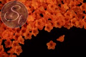 20 Stk. orange Acryl-Blüten frosted 13mm-20