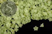 20 Stk. grüne Acryl-Blüten frosted 10mm-20
