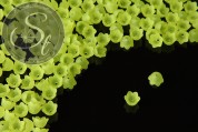 20 Stk. hellgrüne Acryl-Blüten frosted 10mm-20